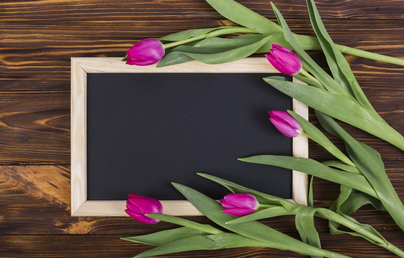 Фото обои цветы, рамка, colorful, тюльпаны, wood, pink, flowers, tulips