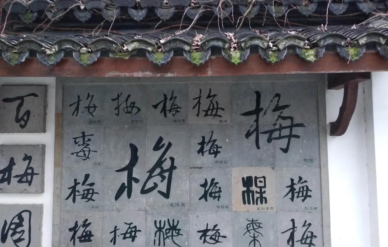 Фото обои plum blossom, eave, Chinese character