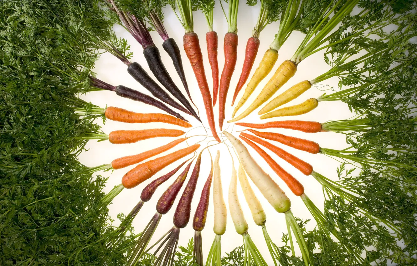 Фото обои еда, изобилие цвета, морковь