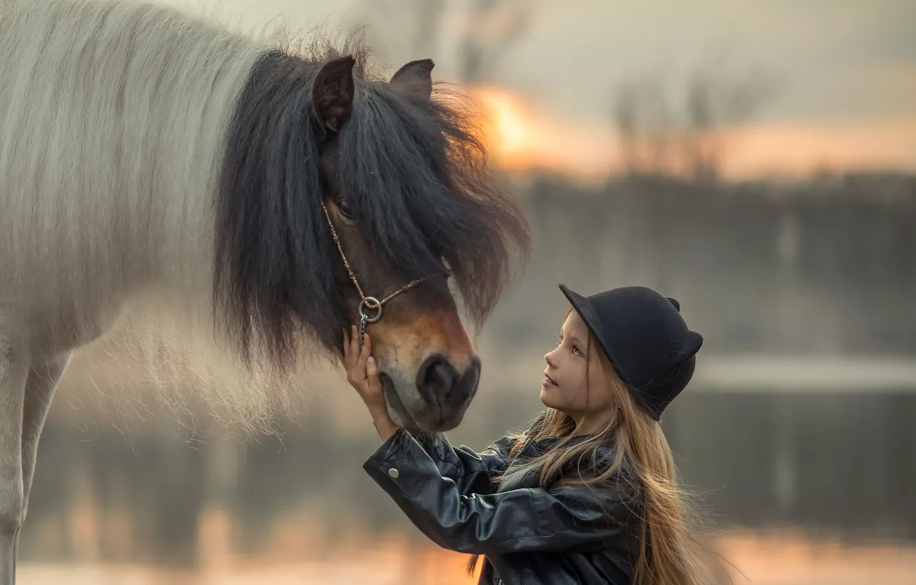 Фото обои шапка, лошадь, девочка