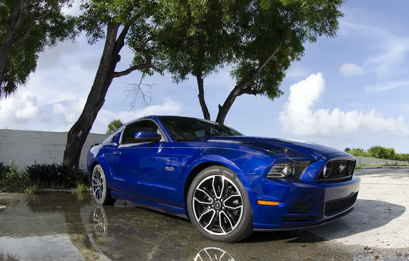 Фото обои синий, Mustang, 5.0, 2013