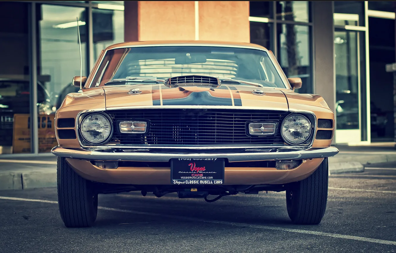 Фото обои mustang, ford, vintage, 1970, classic, mach 1