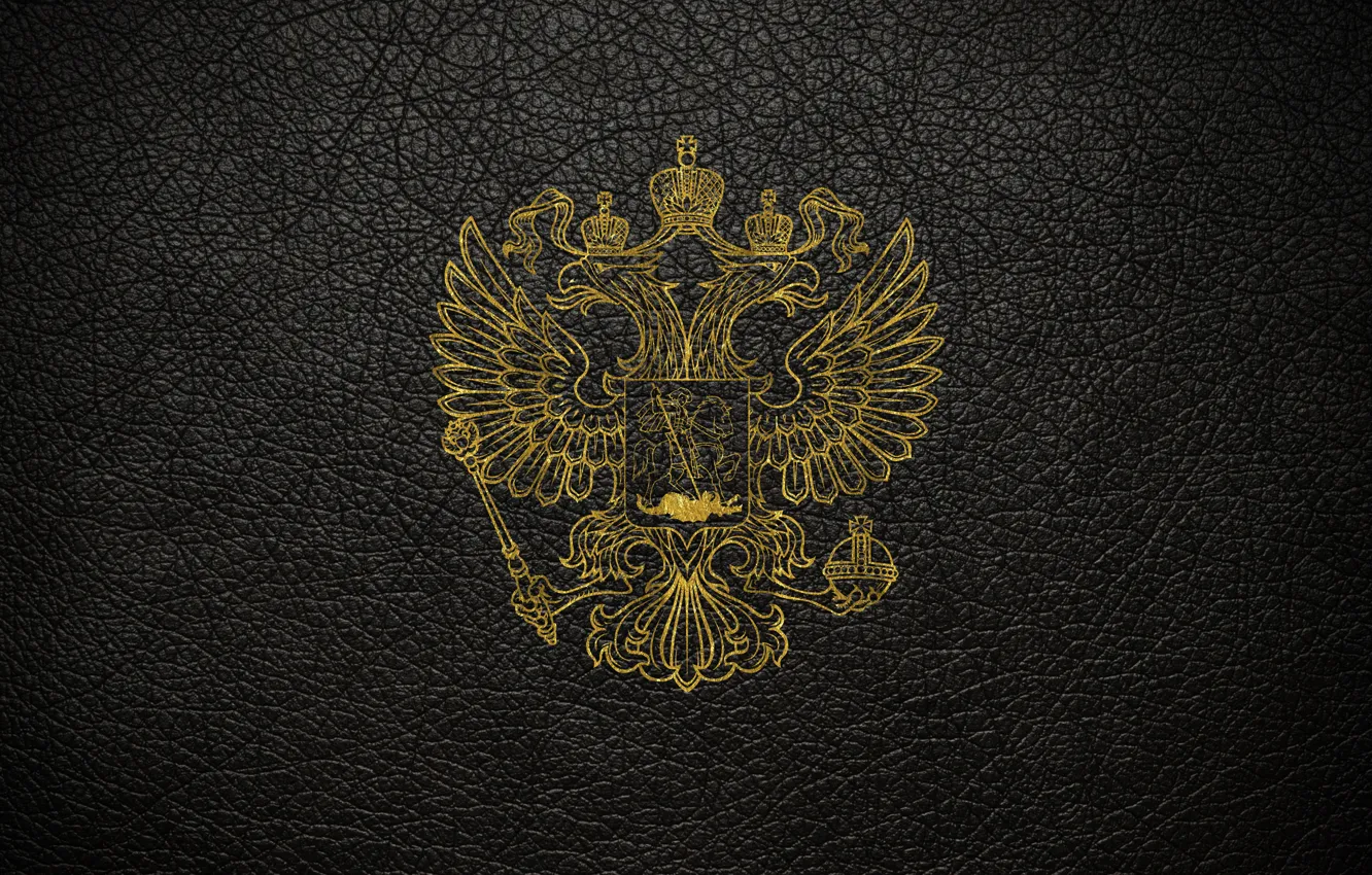 Фото обои кожа, царапины, золотой, черный фон, герб, россия, герб россии