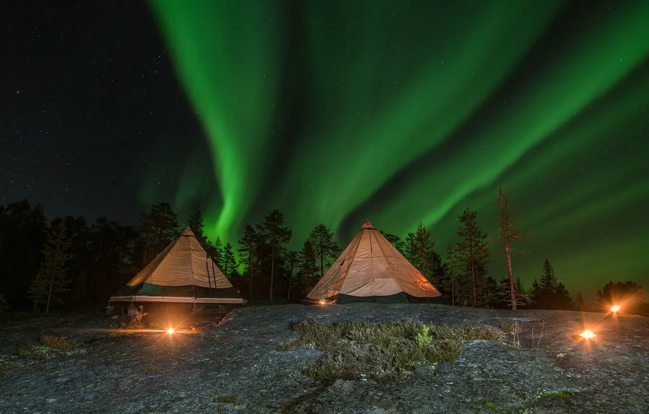 Фото обои лес, небо, деревья, ночь, звёзды, северное сияние, фонари, Финляндия
