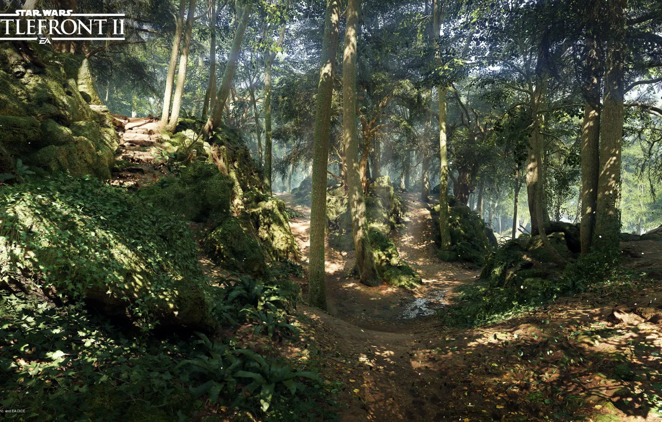 Фото обои лес, природа, тропа, Star Wars Battlefront 2, Mazs Castle Forest