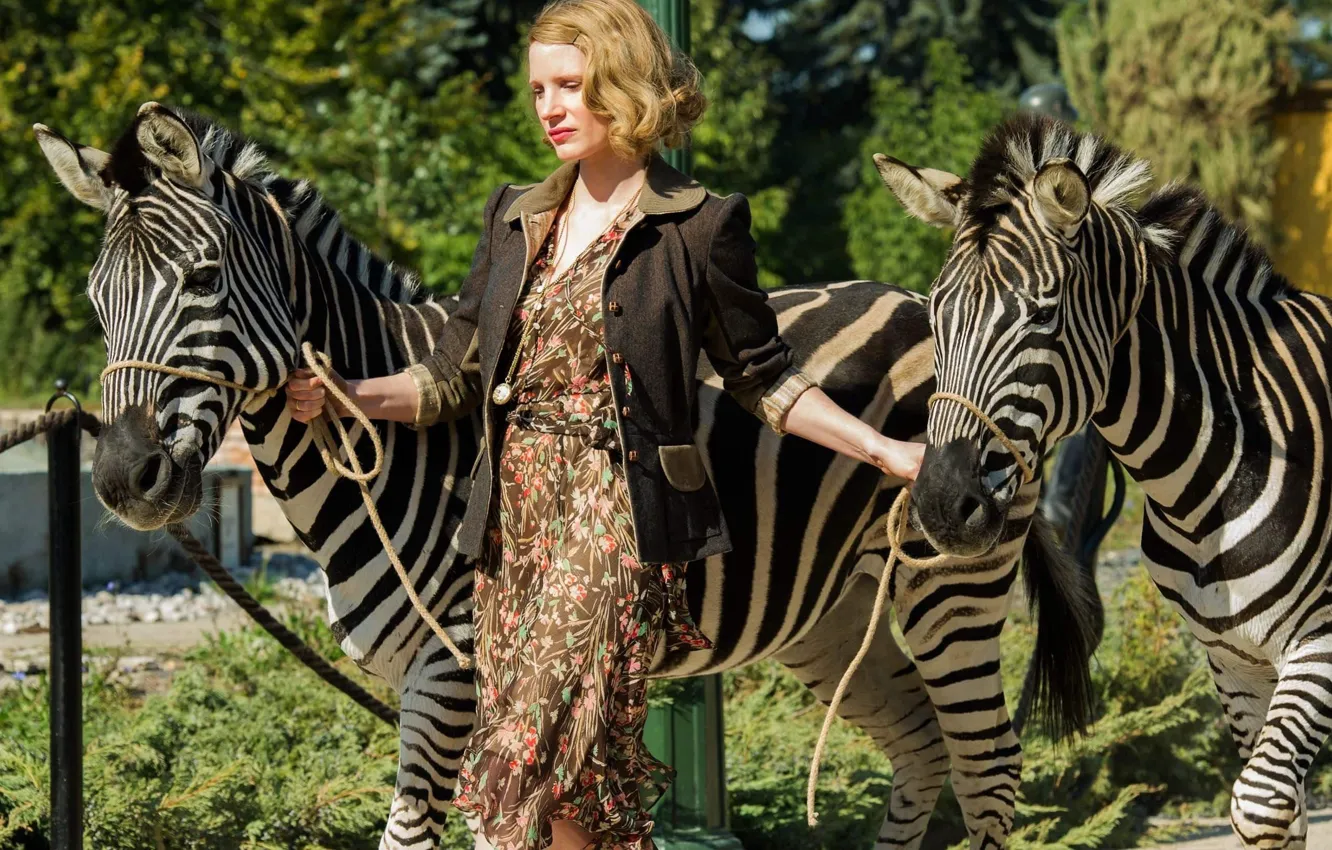 Фото обои cinema, movie, film, zebra, Jessica Chastain, The Zookeeper's Wife