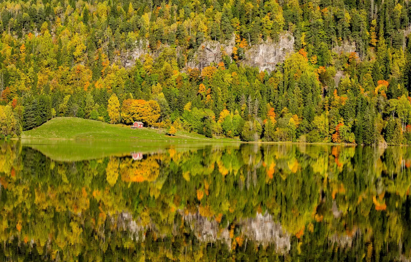 Фото обои Autumn, reflection, Norway