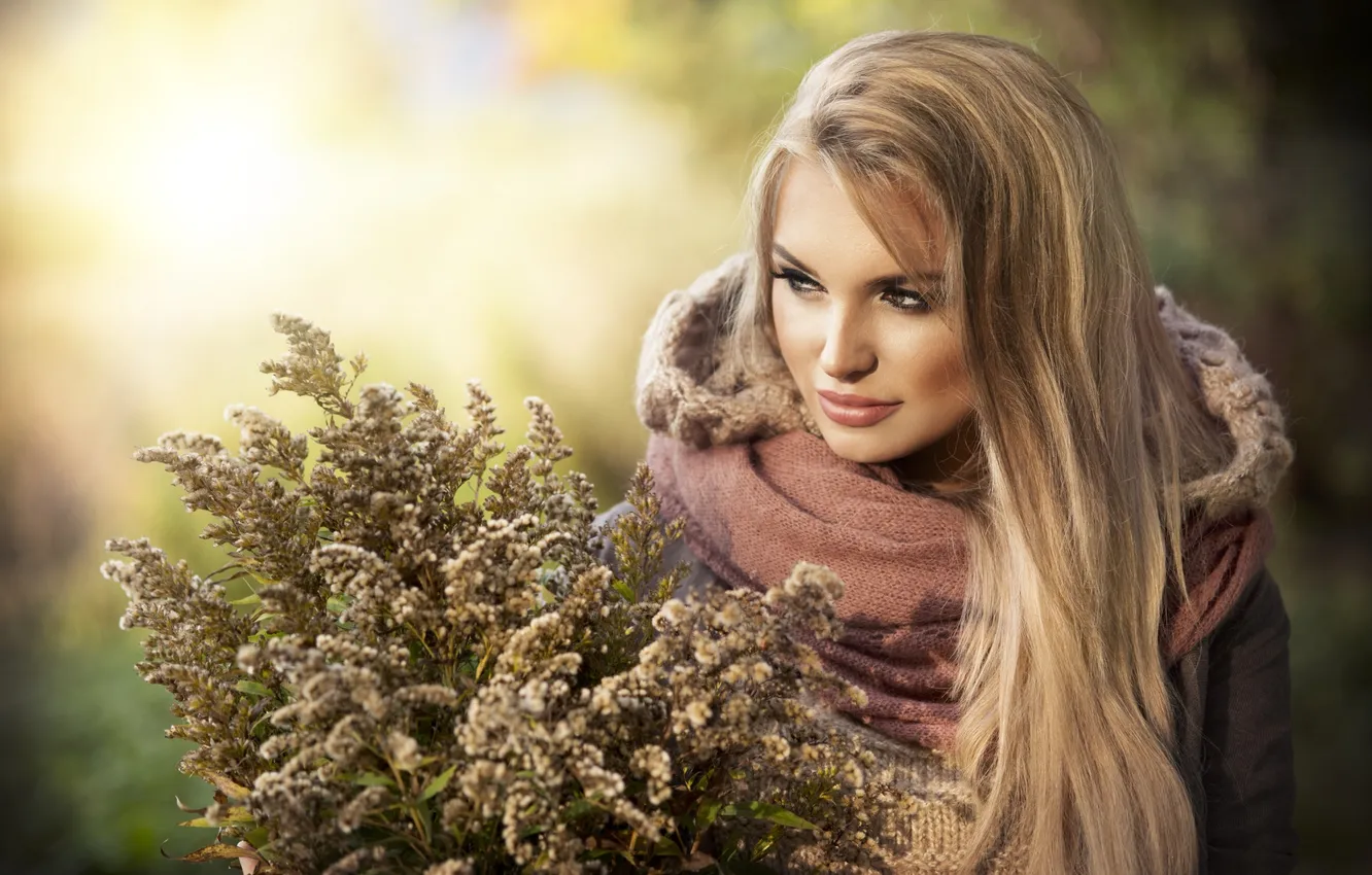 Фото обои осень, трава, девушка, букет, блондинка, капюшон, кофта
