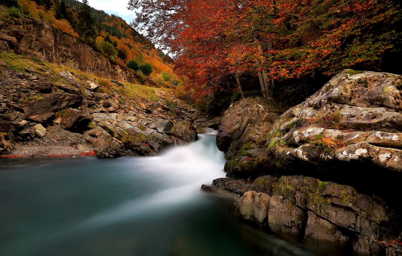 Фото обои осень, пейзаж, природа, река