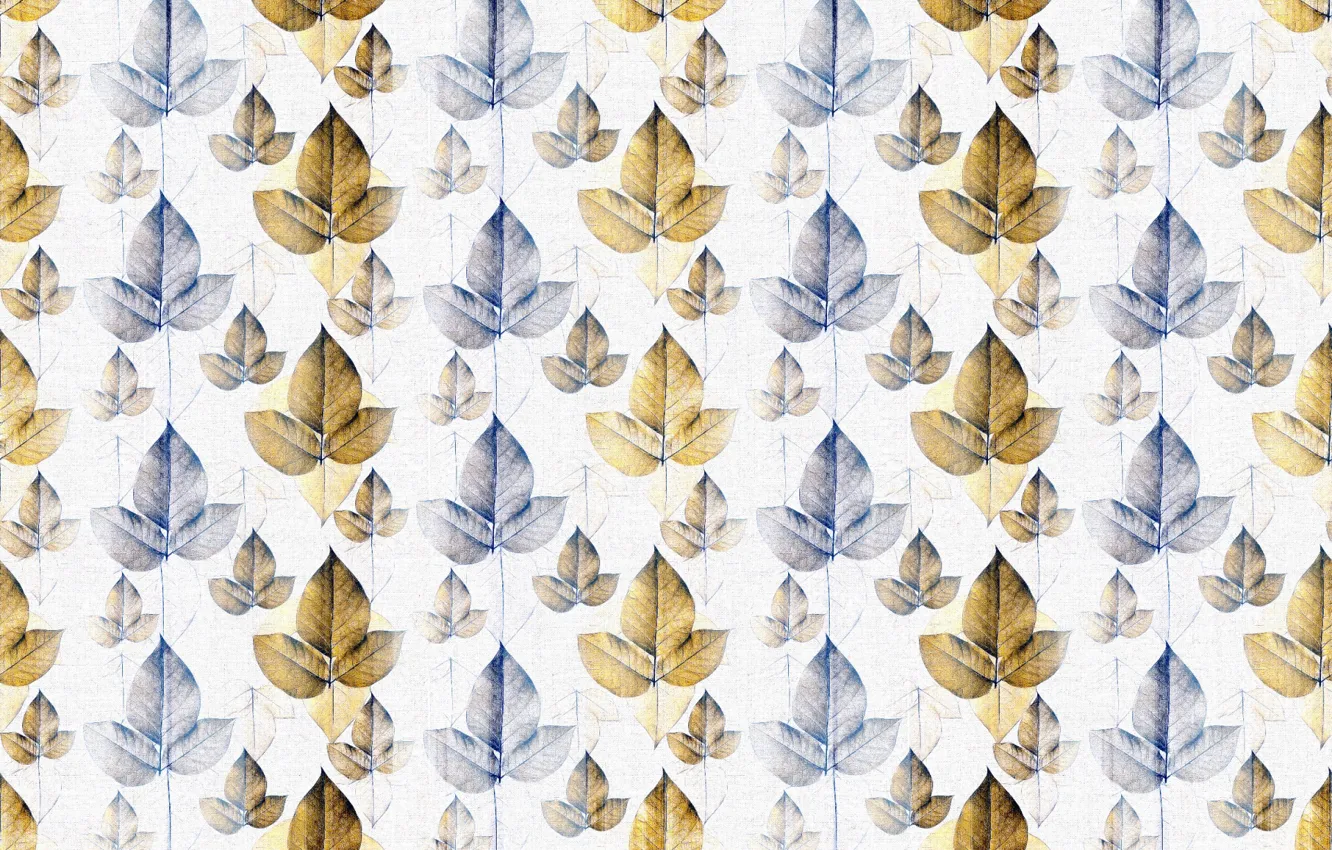 Фото обои листья, фон, colors, текстура, pattern, leaves
