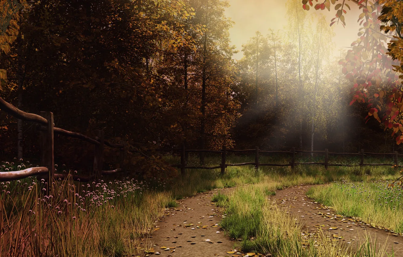 Фото обои осень, лес, трава, листья, лучи, тропа, ограда, дымка