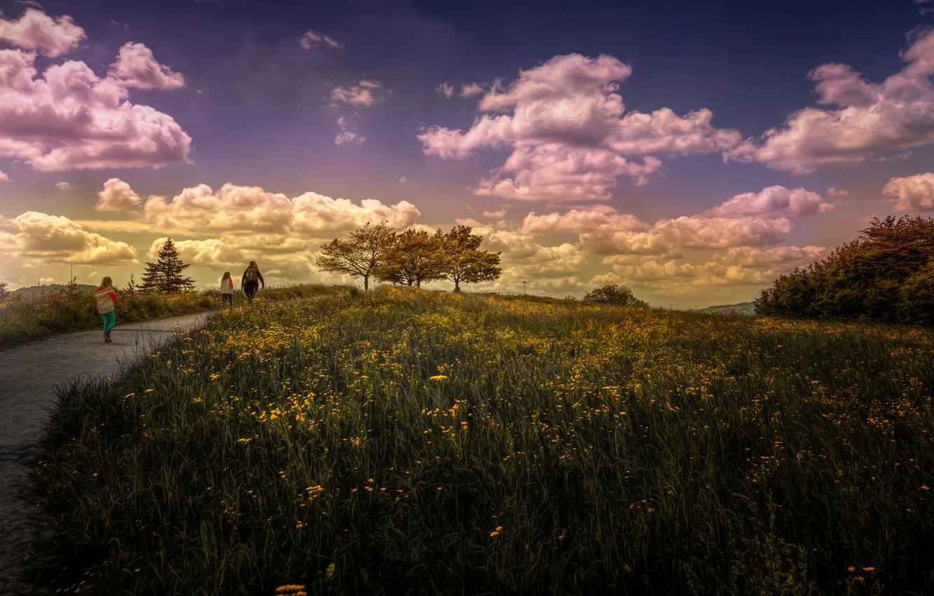 Фото обои небо, трава, Природа