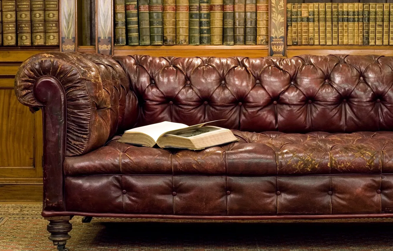Фото обои диван, книга, кожанный, шкаф с книгами, потрепанный жизнью