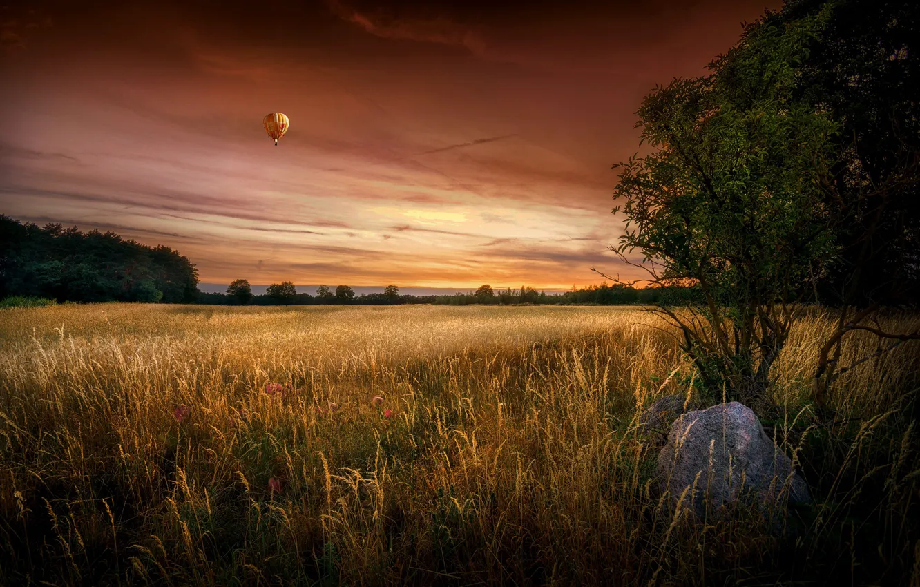 Фото обои поле, лето, закат, шар