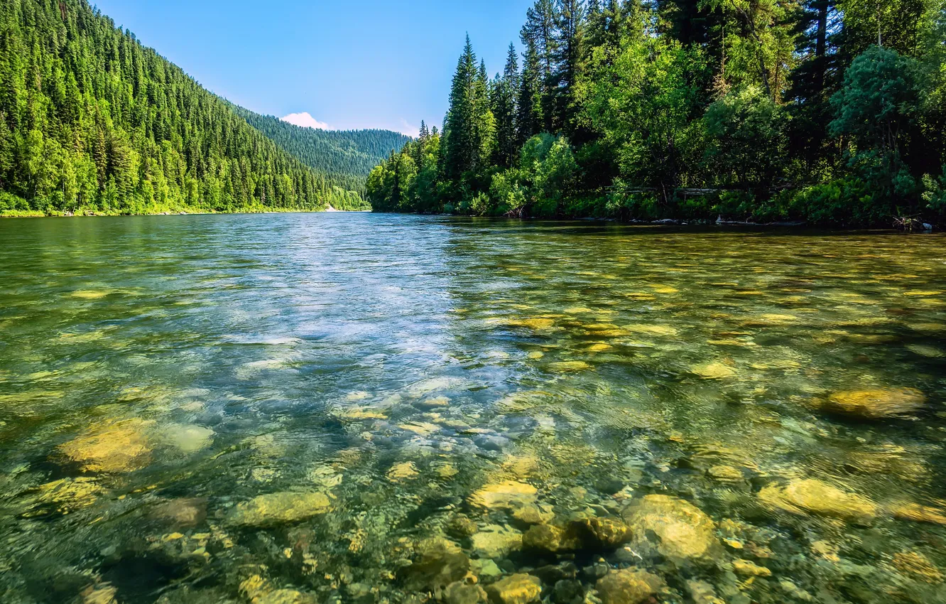 Фото обои камни, водоем, озеро, берег, лес, дно