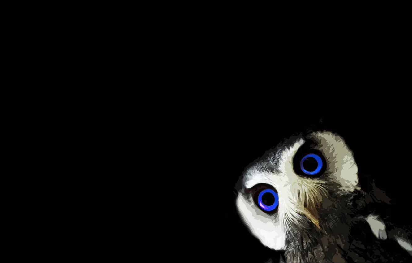 Фото обои black, animals, minimalism, blue eyes, black background, owl