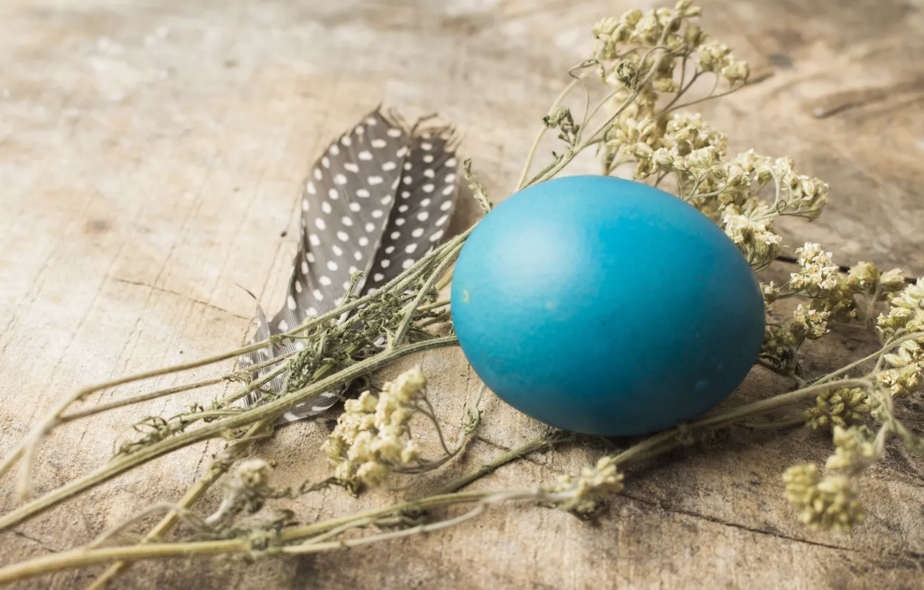 Фото обои перо, яйца, Пасха, Праздник