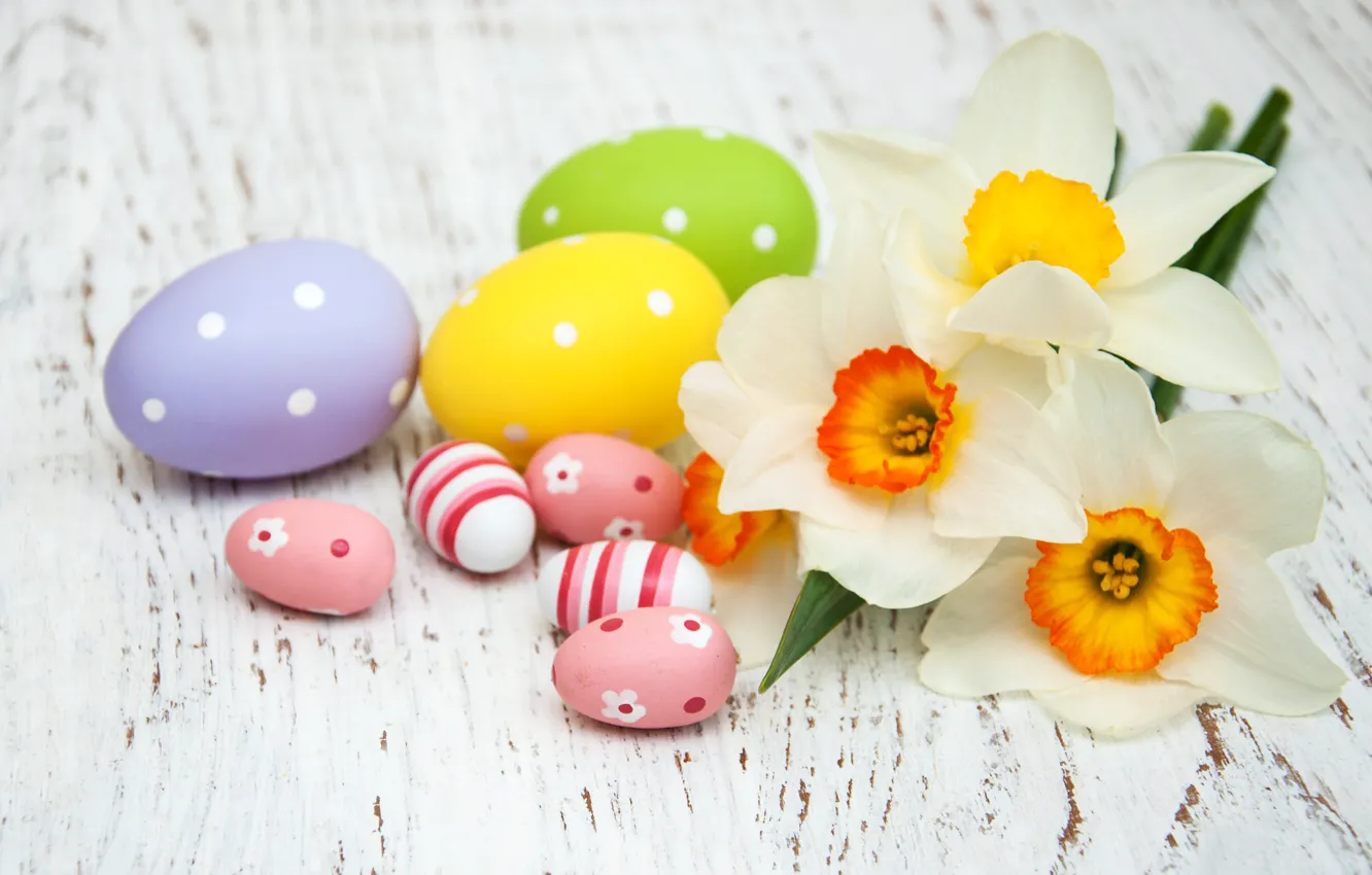 Фото обои цветы, яйца, весна, colorful, Пасха, happy, wood, flowers