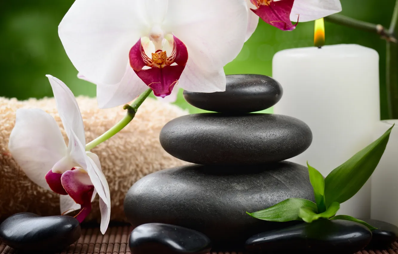Фото обои камни, орхидея, flowers, спа, orchid, stones, candle, spa