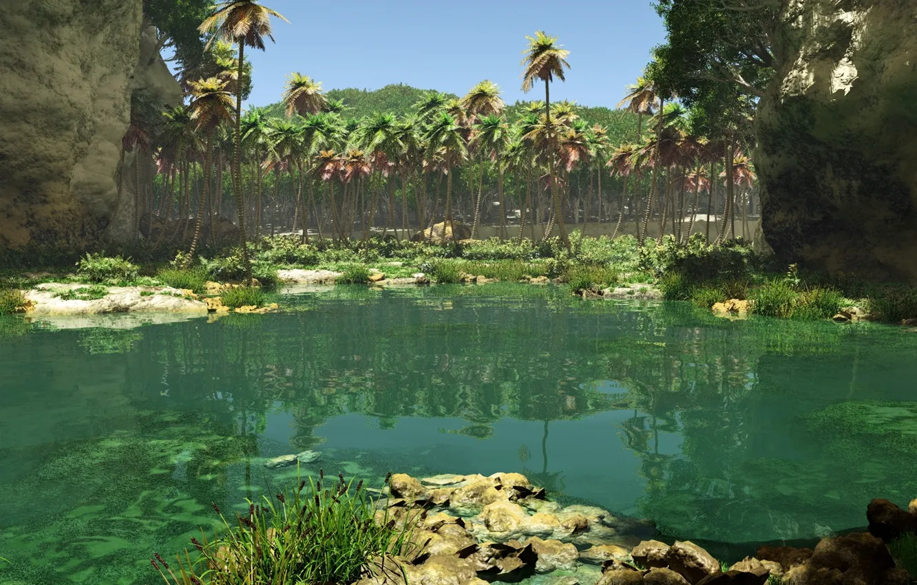 Фото обои озеро, пальмы, берег, камыш, jungle pool