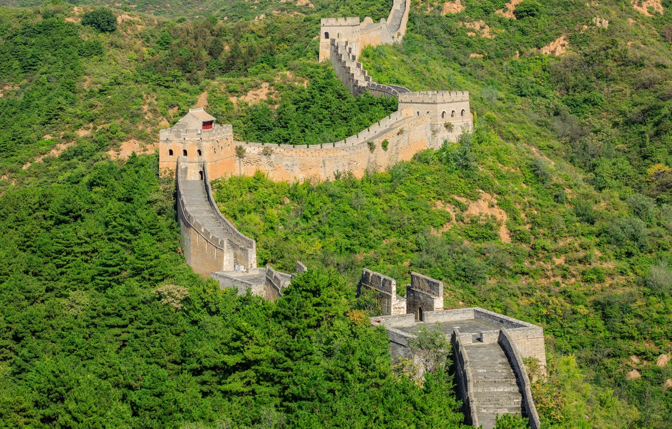 Фото обои зелень, лес, солнце, деревья, Китай, кусты, Великая Китайская стена, The great wall of China
