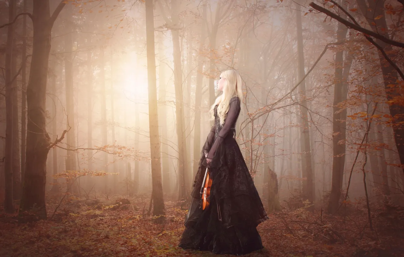 Фото обои лес, девушка, скрипка