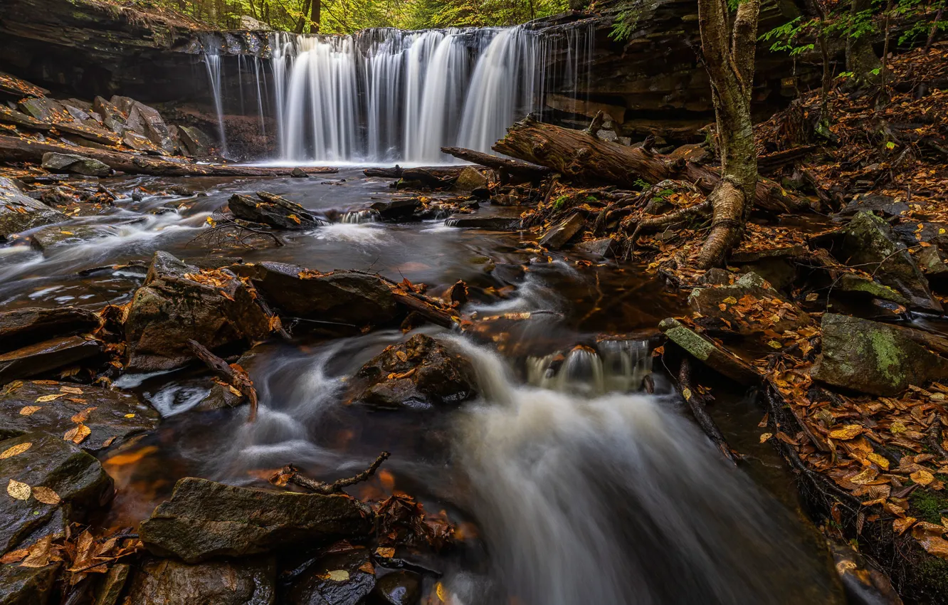 Фото обои осень, ручей, камни, водопад, речка, Пенсильвания, Pennsylvania, Ricketts Glen State Park