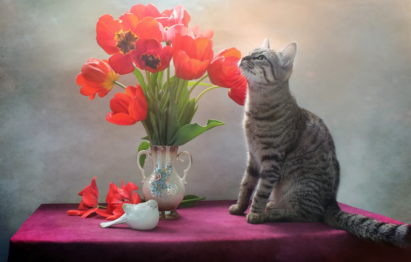 Фото обои кошка, кот, цветы, тюльпаны, ваза, птичка, фигурка, Ковалёва Светлана