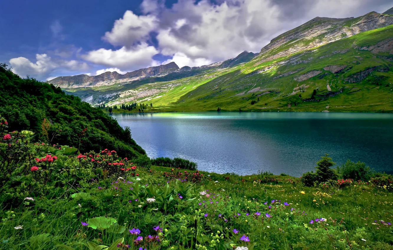 Фото обои горы, озеро, Швейцария, Engstlen Lake