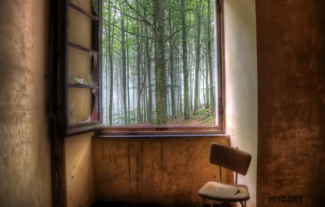 Фото обои лес, комната, окно