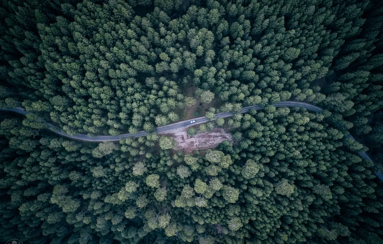 Фото обои дорога, машина, лес, вид сверху
