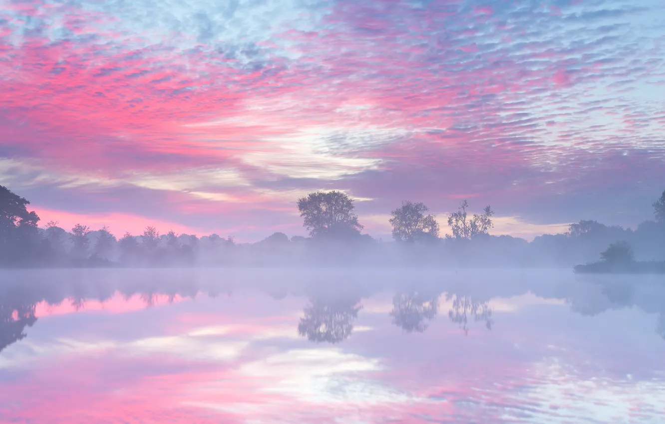 Фото обои осень, туман, озеро, утро, Нидерланды, Сентябрь