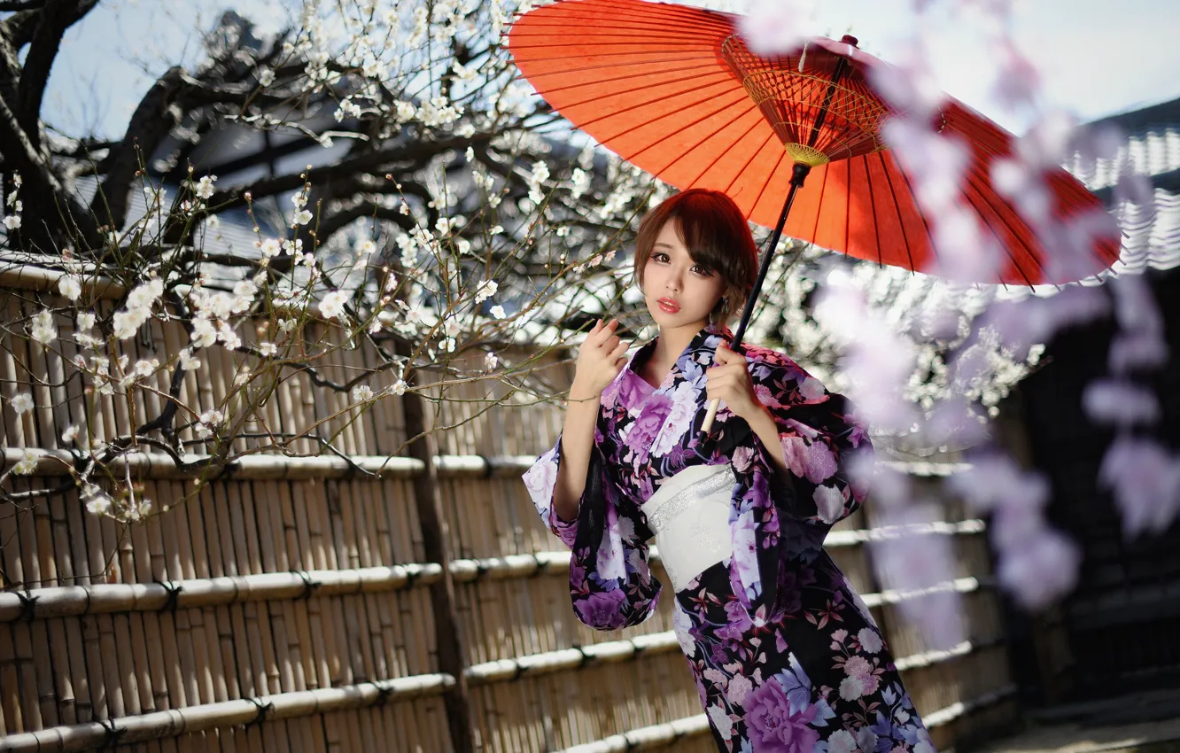 Фото обои стиль, зонтик, фон, азиатка