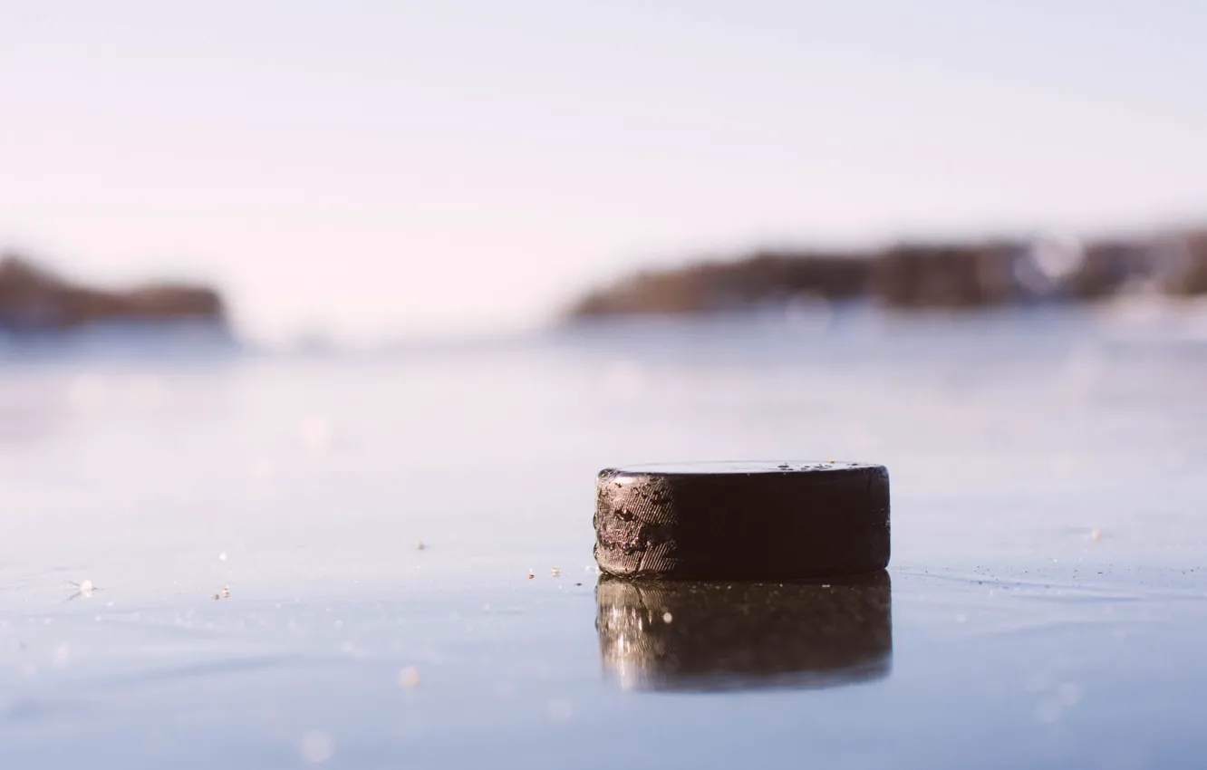Фото обои лед, макро, хоккей, шайба