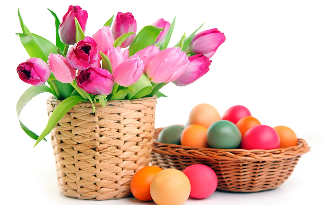 Фото обои яйца, Пасха, тюльпаны, easter, белый фон