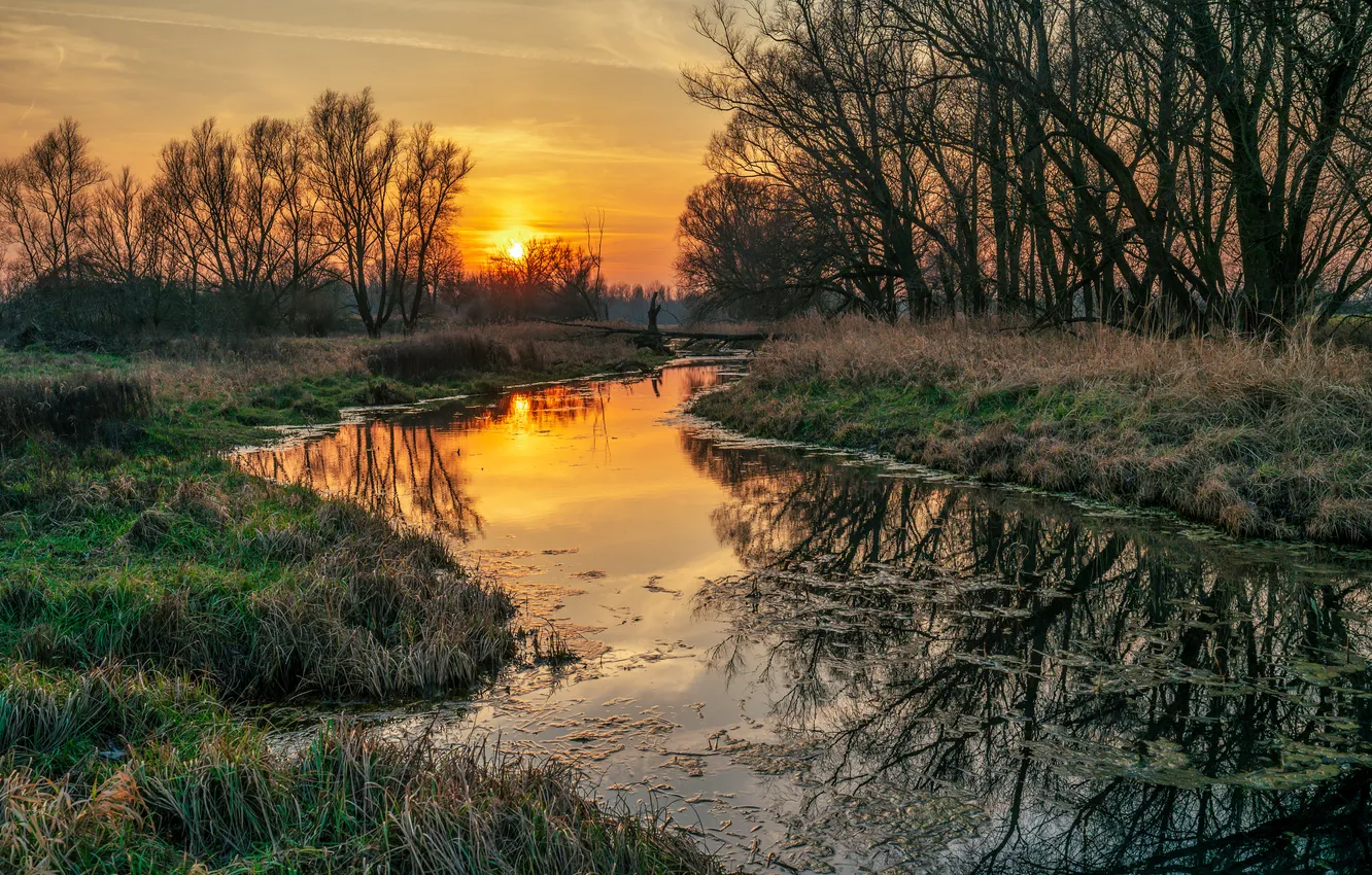 Фото обои лето, закат, река