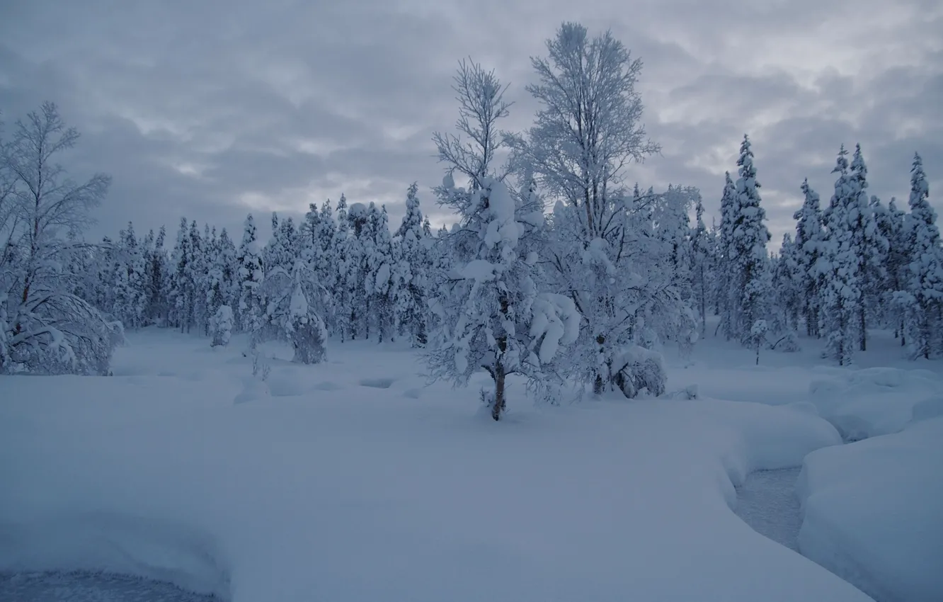 Фото обои зима, лес, снег, деревья, ручей, сугробы, Финляндия, Finland