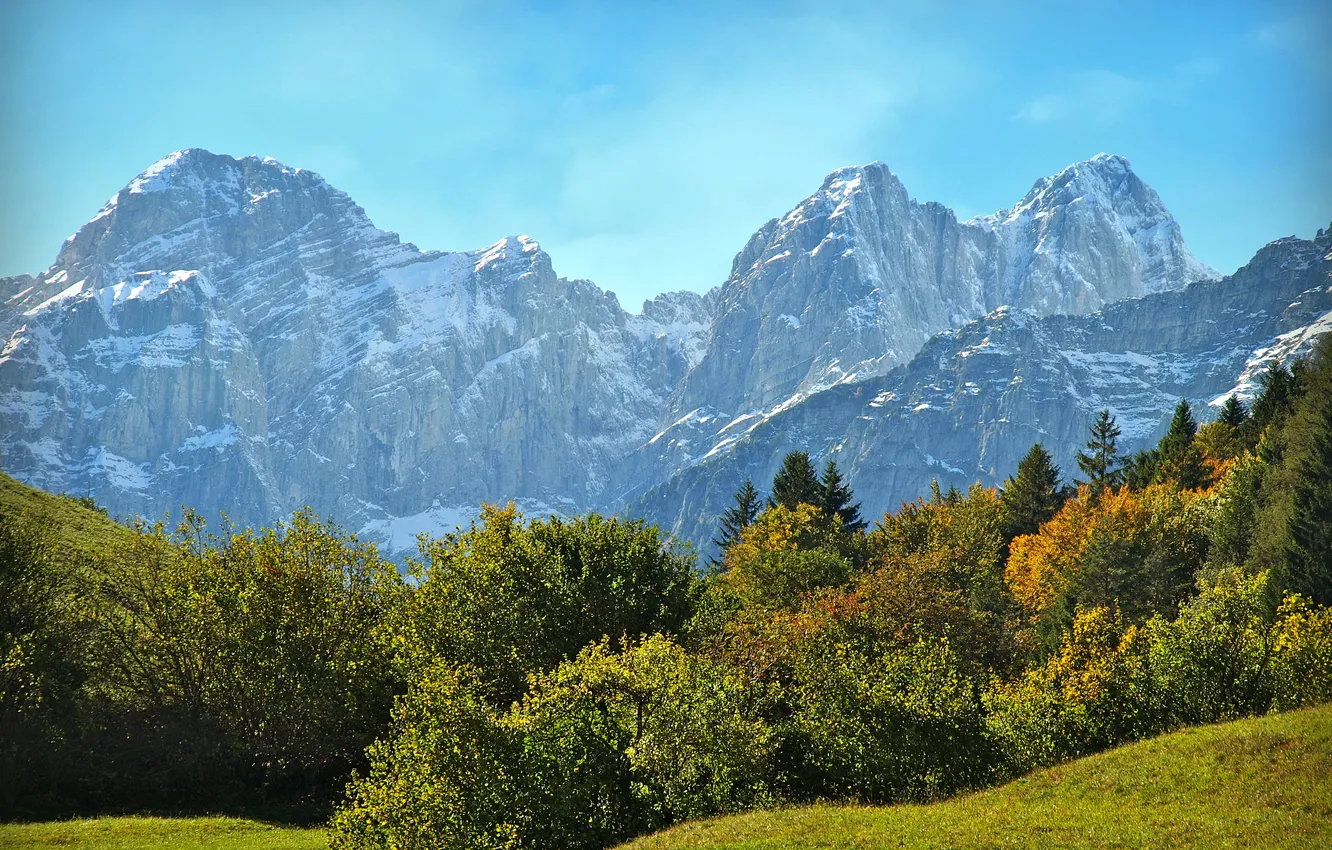 Фото обои трава, солнце, деревья, горы, скалы, Италия, кусты, снежные