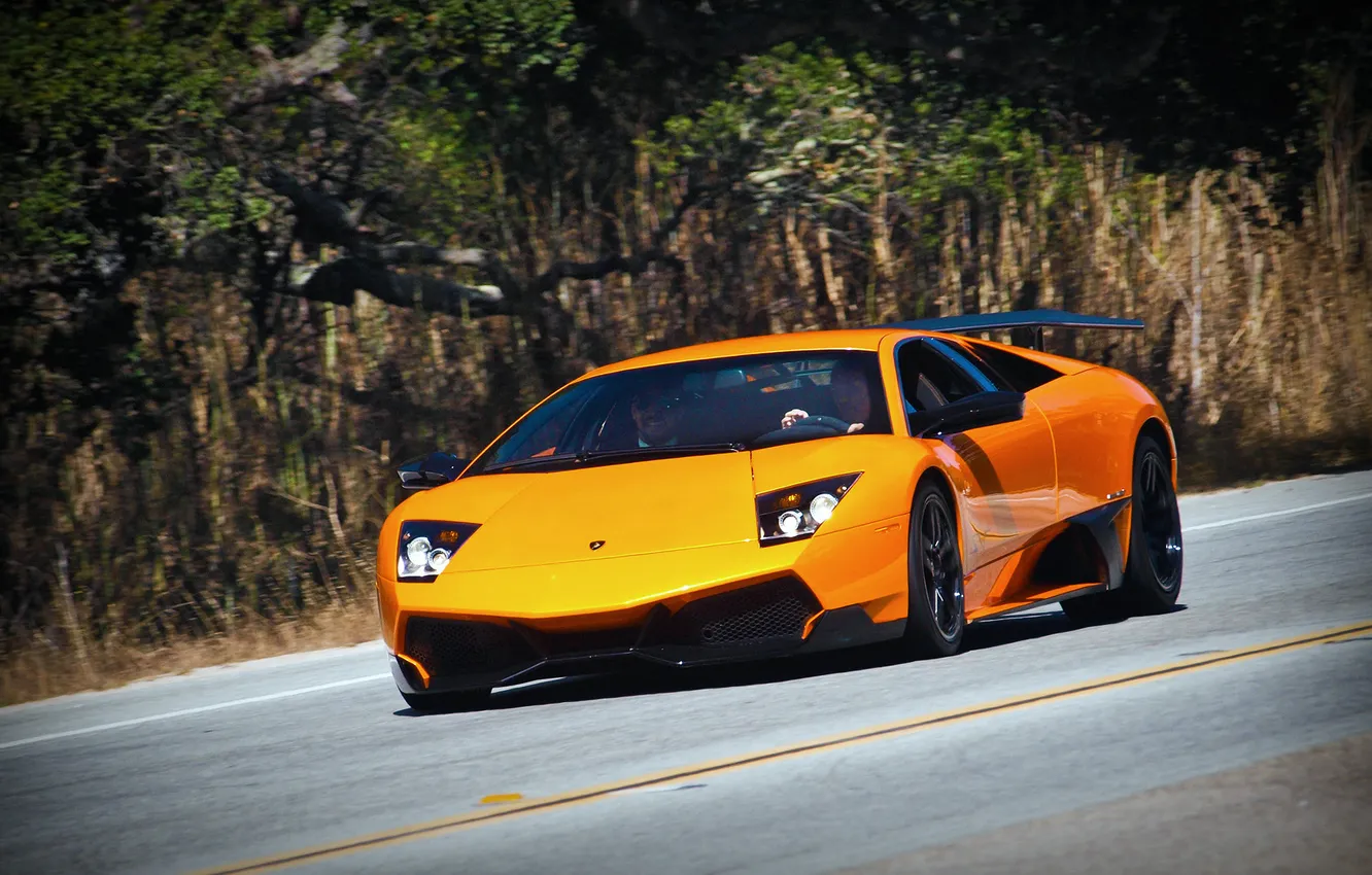 Фото обои Lamborghini, murcielago, Superveloce