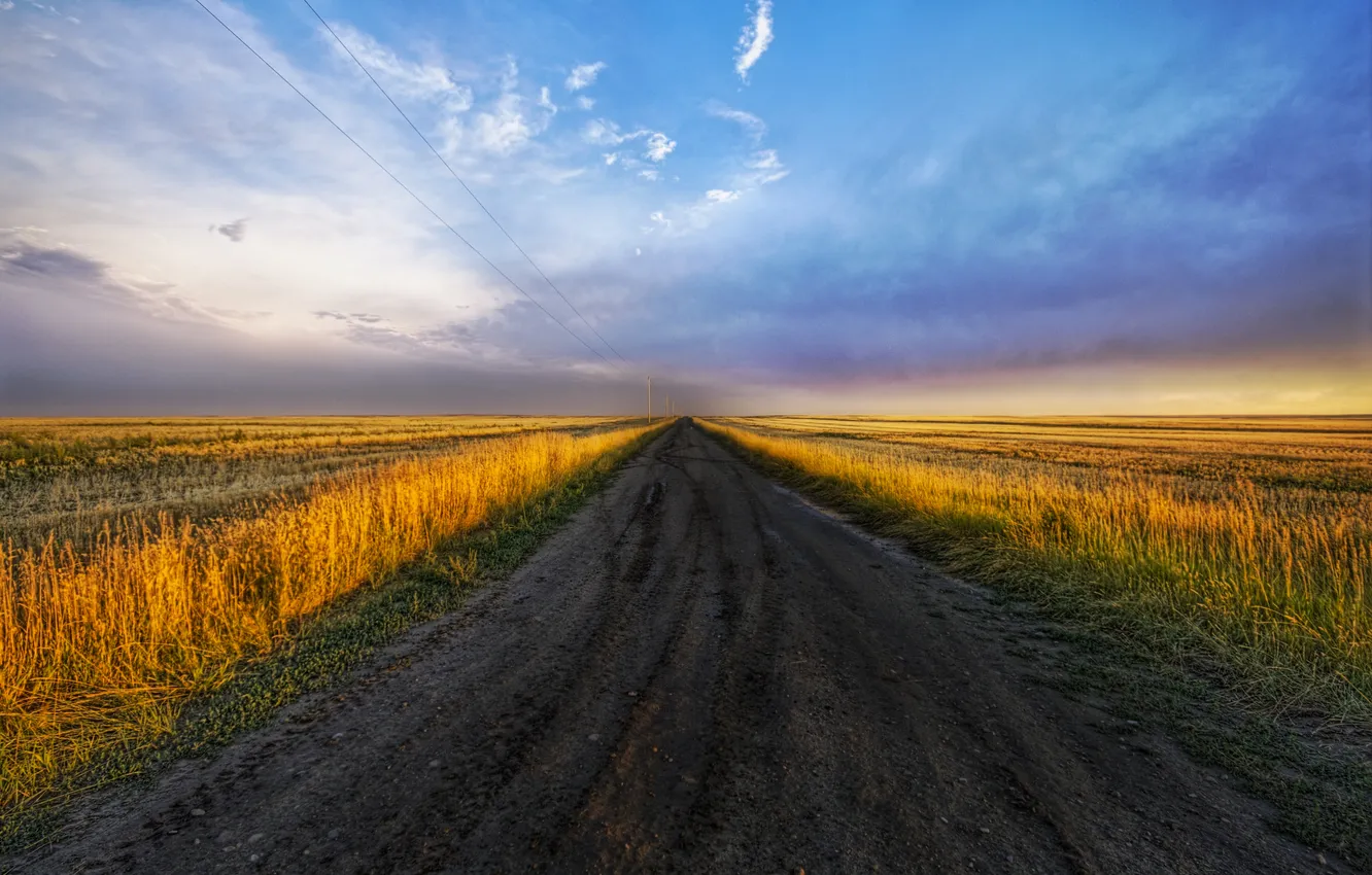 Фото обои дорога, поле, небо, трава, облака, пейзаж, закат, природа