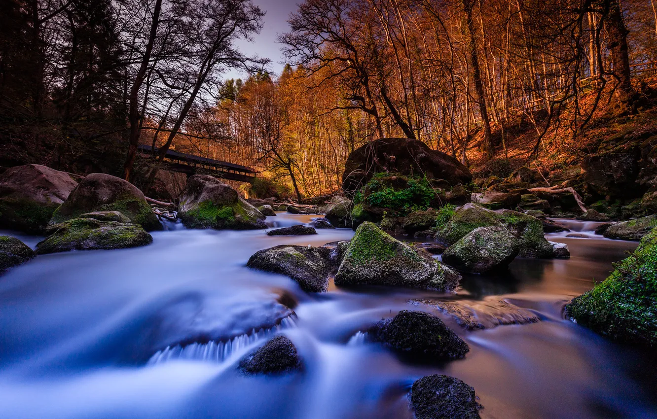 Фото обои лес, камни, Германия, речка, Rheinland-Pfalz