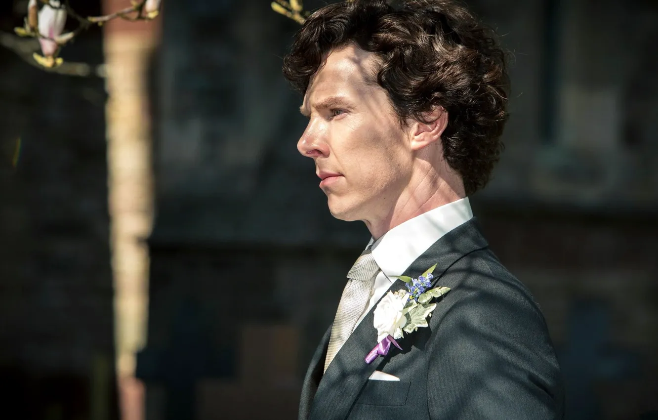 Фото обои роза, смокинг, Бенедикт Камбербэтч, Sherlock, Sherlock BBC, Sherlock Holmes, Sherlock (сериал), шафер