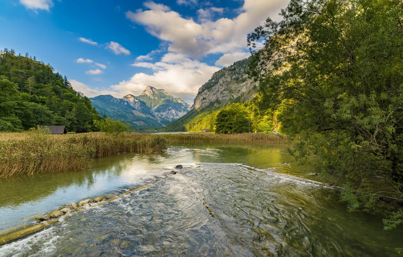Фото обои зелень, лес, небо, трава, облака, деревья, горы, река