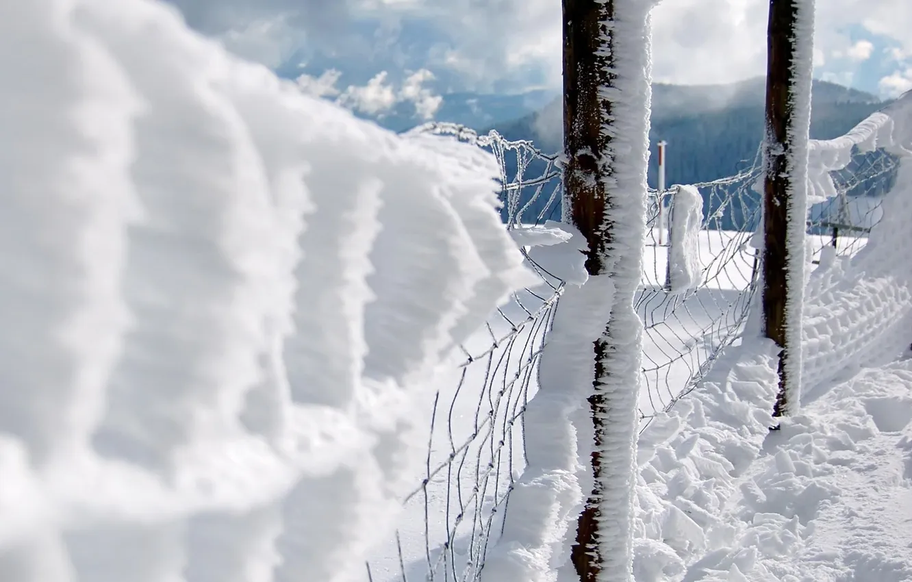 Фото обои зима, снег, сетка, забор