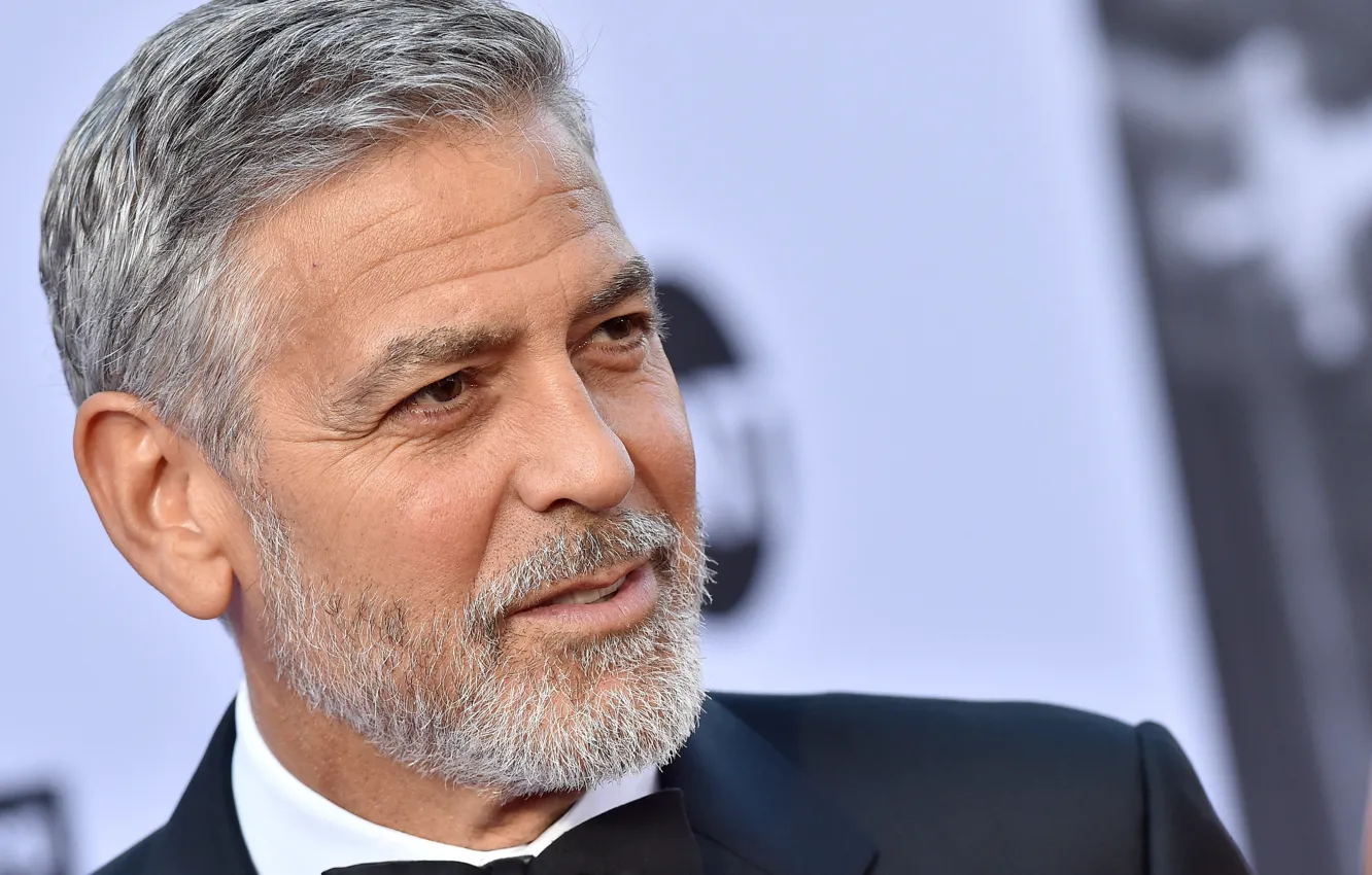 Фото обои борода, актёр, Джордж Клуни, George Clooney, седина