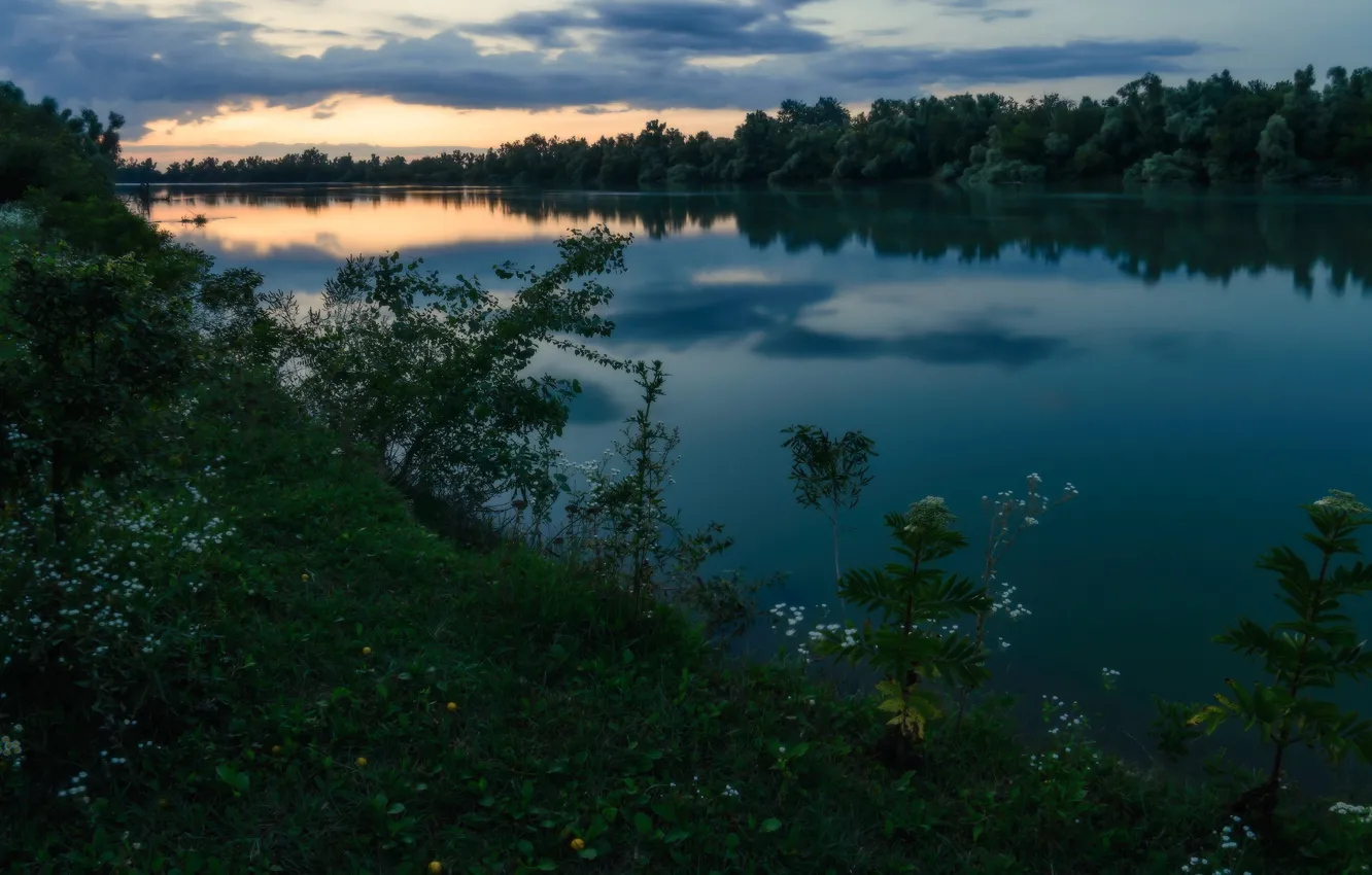 Фото обои лес, пейзаж, природа, река, вечер, берега, Александр Плеханов