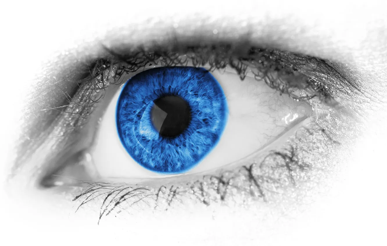 Фото обои макро, ресницы, macro, голубой глаз, eyelashes, blue eye