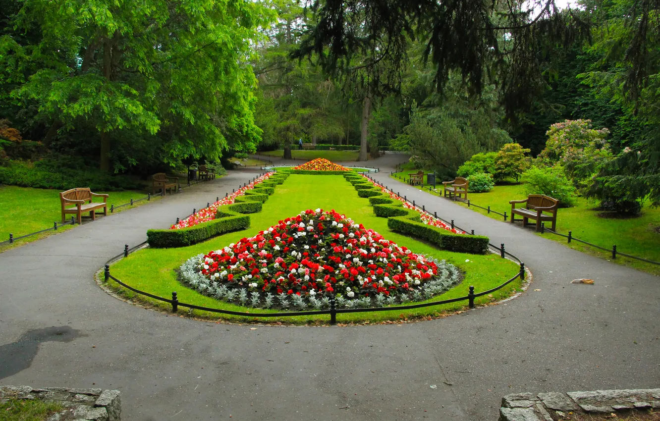 Фото обои park, alley, color, flower