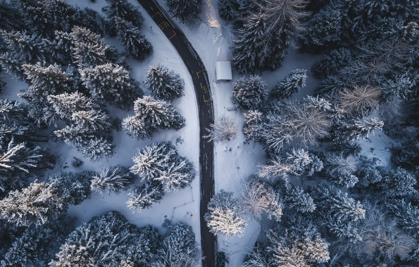 Фото обои зима, дорога, лес, деревья, природа, вид сверху