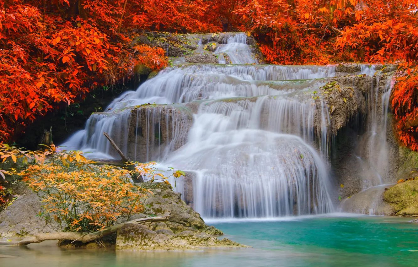 Фото обои осень, ручей, камни, пороги, водопад.кусты